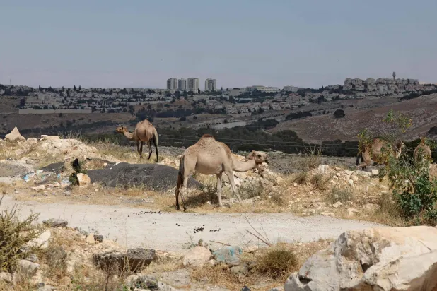 Israel Plans Major Settlement Push Across Occupied West Bank