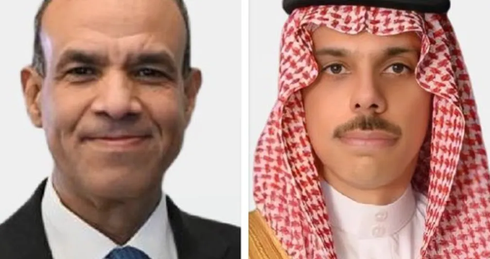 وزيرا خارجية السعودية ومصر يناقشان مستجدات المنطقة