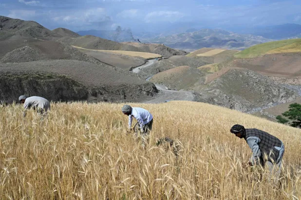 WFP: Middle East Conflict Pushing Millions Into Hunger