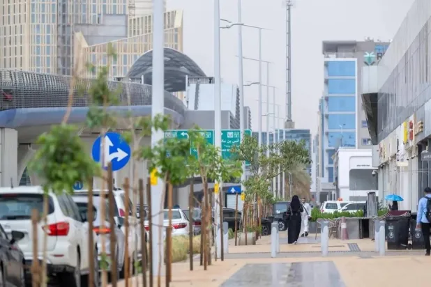 How Saudi Arabia Protects Whistleblowers, Witnesses, Experts and Victims