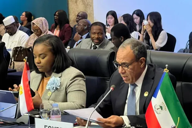 Egypt Moves to Postpone African Summit in El Alamein Over Ebola Concerns