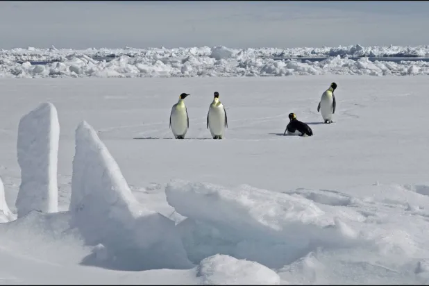 Antarctic Peninsula Sees Record High June Temperatures