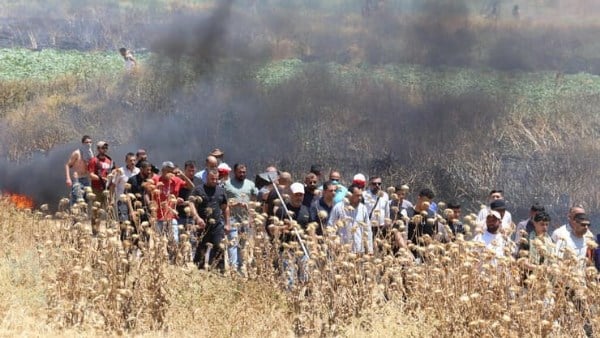 مستوطنون يشعلون النار في حقول غرب الخليل وسط اشتباكات وإصابة فلسطينيين
