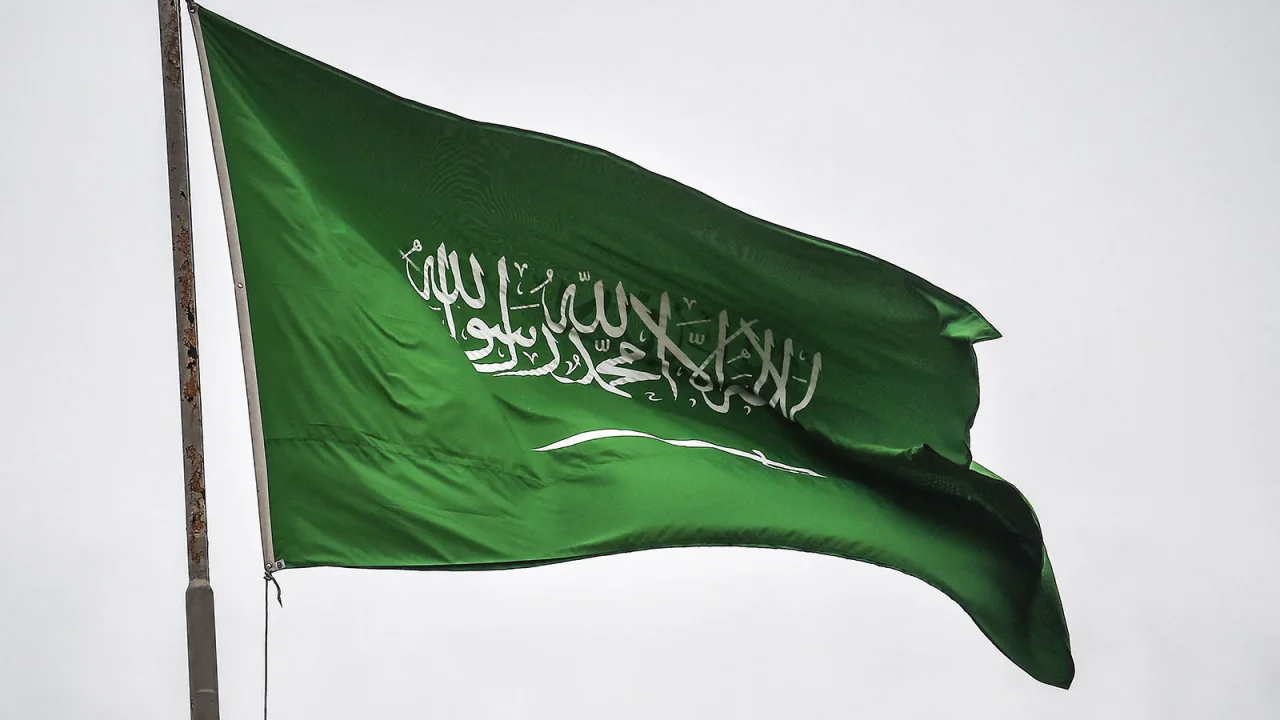 Egyptian, Saudi FMs discuss bilateral relations, regional developments