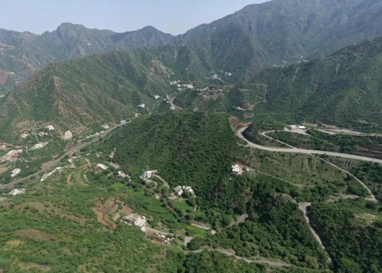 From the Red Sea to Asir, Saudi Arabia highlights its rich environmental diversity