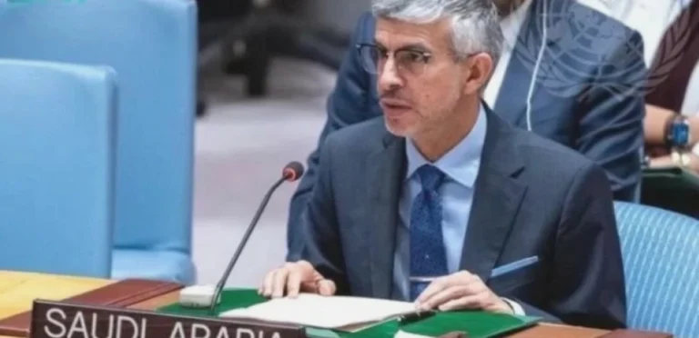 Saudi Arabia reaffirms Palestine as Arab World’s central cause at UN Security Council