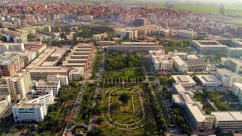 رئيس جامعة المنصورة: انتظام امتحانات لـ180 ألف طالب وسط إجراءات رقابية مشددة