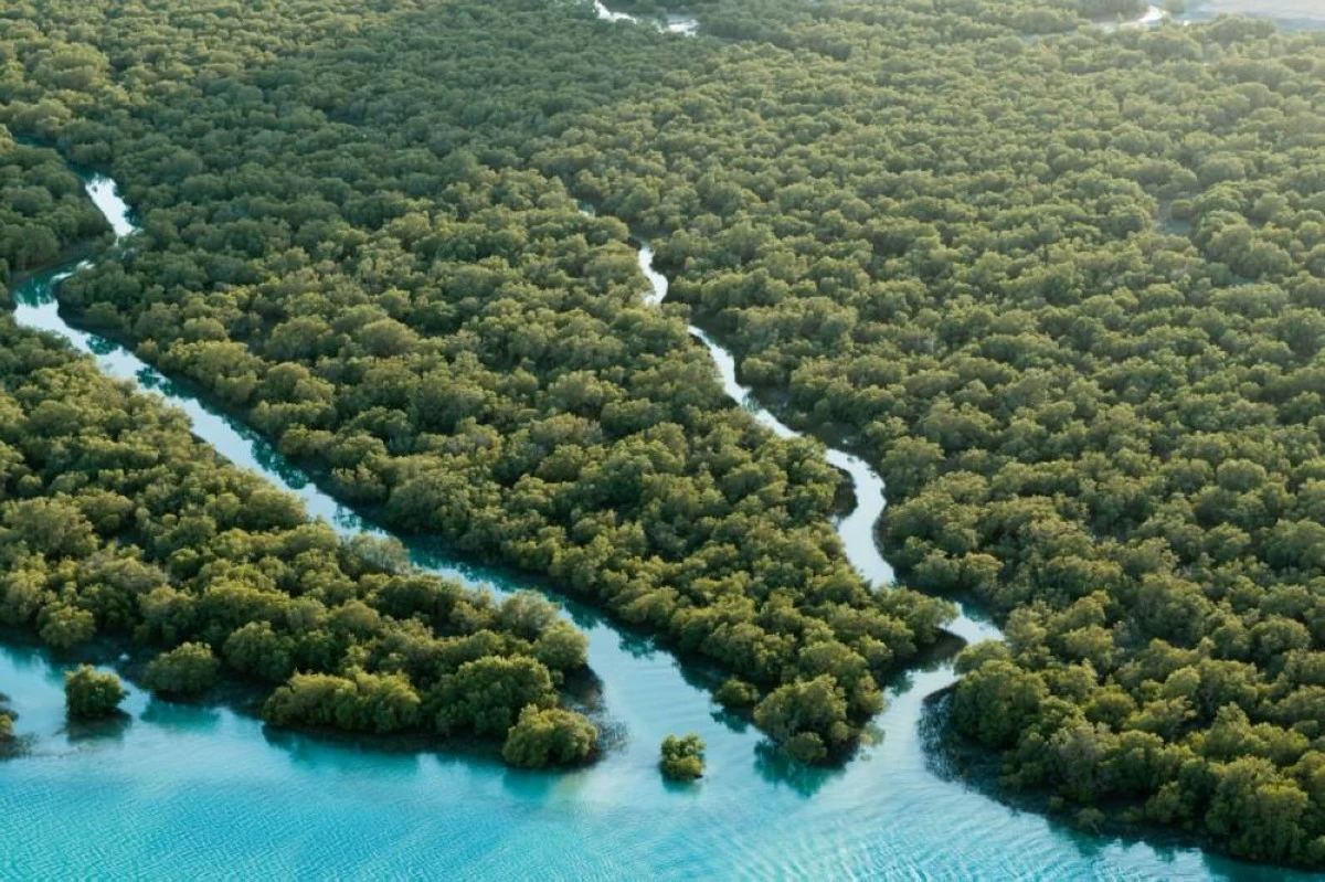 EAD: Abu Dhabi continues to develop innovative solutions to enhance climate adaptation, protect natural resources