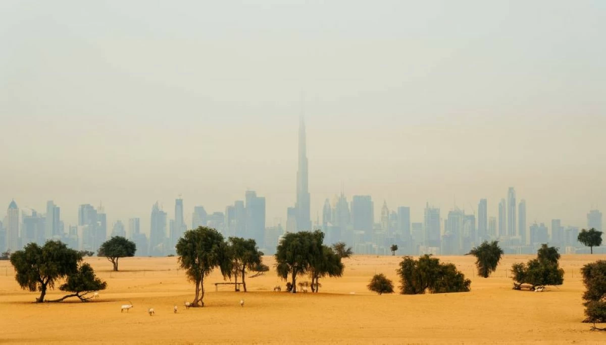 UAE weather alert: 50km/h winds and 10-foot waves trigger nationwide dust warning