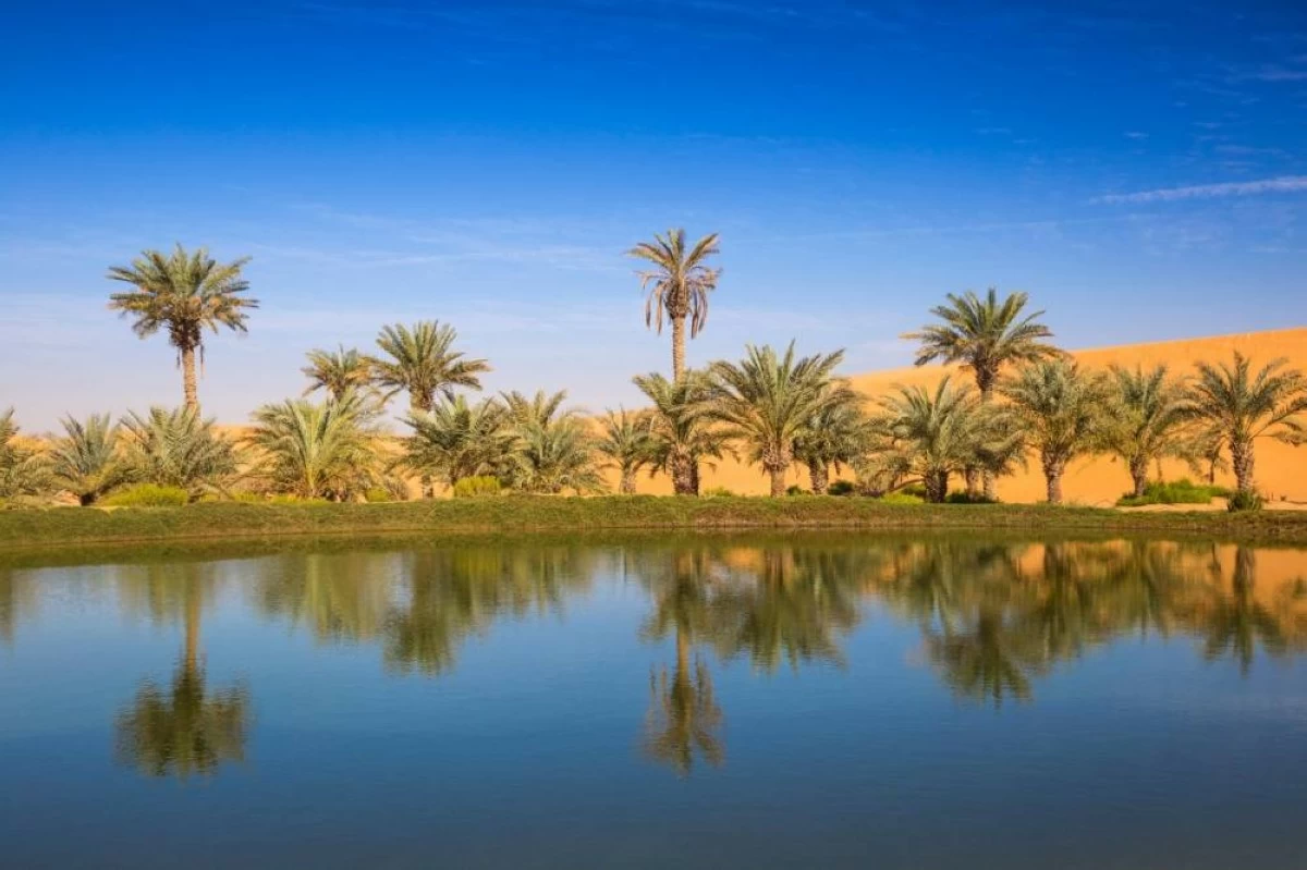 World Environment Day: UAE reinforces its leadership in sustainability, addressing climate challenges