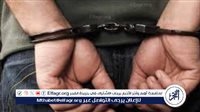 إحالة أوراق بائع فاكهة للمفتي لقتله سيدة وسرقة أموالها بالقليوبية