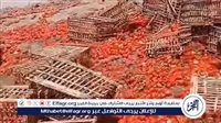 انقلاب سيارة ربع نقل محملة بطماطم على طريق مصر اسكندرية الزراعى (صور)