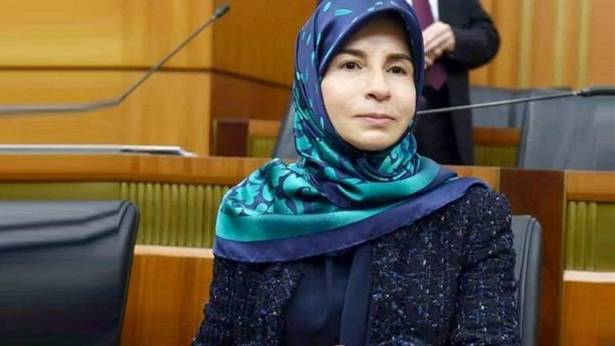 عناية عز الدين: لم يعد مقبولاً حصر التعاطي مع الأزمة بالجانب الإغاثي