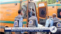 مصرع شخص وإصابة 2 آخرين في حادث تصادم على الصحراوي الغربي بالعدوة في المنيا