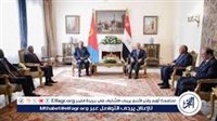 عاجل- الرئيس السيسي يؤكد المسئولية الحصرية للدول المشاطئة في حوكمة البحر الأحمر خلال مباحثات مع رئيس إريتريا
