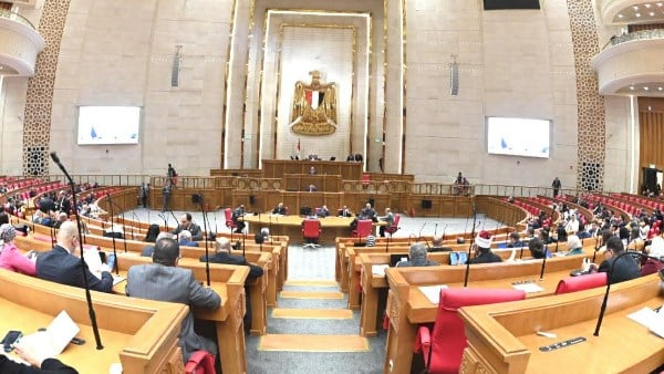برلماني: توسيع دور المؤسسات الدولية في دعم الاقتصادات الناشئة يدعم خطط الإصلاح