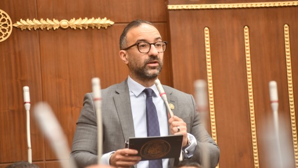 لحين صدور قانون الأسرة.. الحمامصي يطالب بزيادة الرؤية إلى 6 ساعات