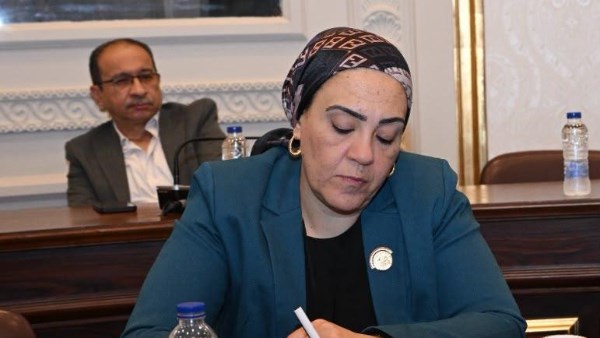 داليا الأتربي تستنكر تصريحات منسوبة لمحامية بشأن الجنس التجاري