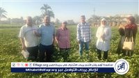 مديرية الزراعة تطلق الدفعة الأولى من طفيل “التريكوجراما” لمكافحة الآفات بمركز سنورس