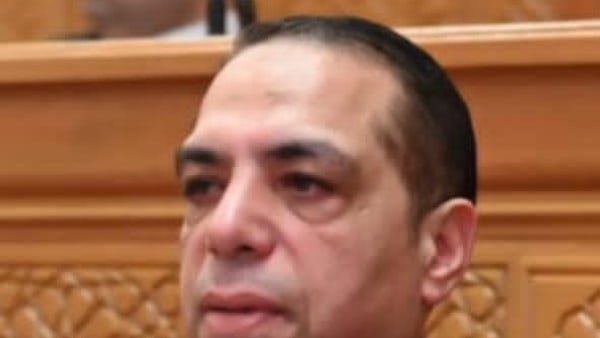 برلماني: جولة رئيس الوزراء بالإسكندرية تعكس قوة الدولة في دعم الصناعة