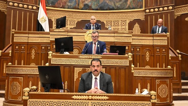 رئيس برلمانية حماة الوطن بالشيوخ يعلن موافقته على خطة التنمية الاقتصادية والاجتماعية 2026/2027