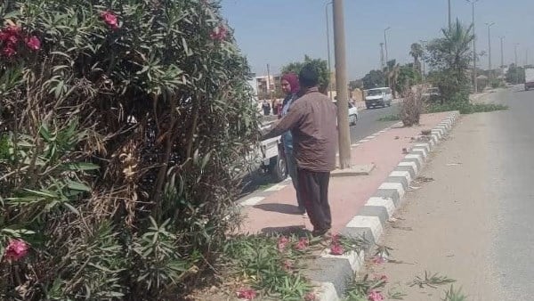 متابعة يومية لمنظومة النظافة والتجميل ورفع المخلفات للحفاظ على البيئة بالمنيا