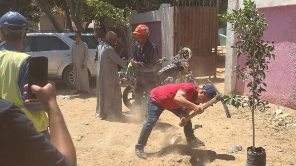 محافظ أسيوط: زراعة 500 شجرة بقرى بني عديات والعزية وجحدم بمنفلوط