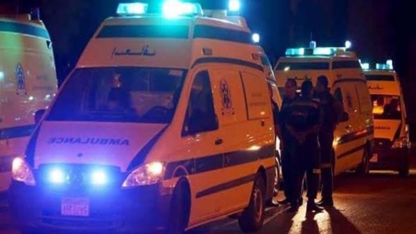 قابيل وهابيل.. أخ يقتل شقيقه الأصغر في المنوفية