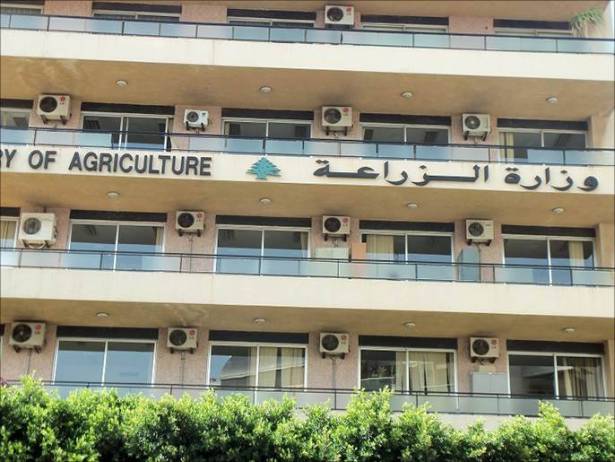 وزارة الزراعة ترحّب بقرار السعودية استئناف الصادرات اللبنانية