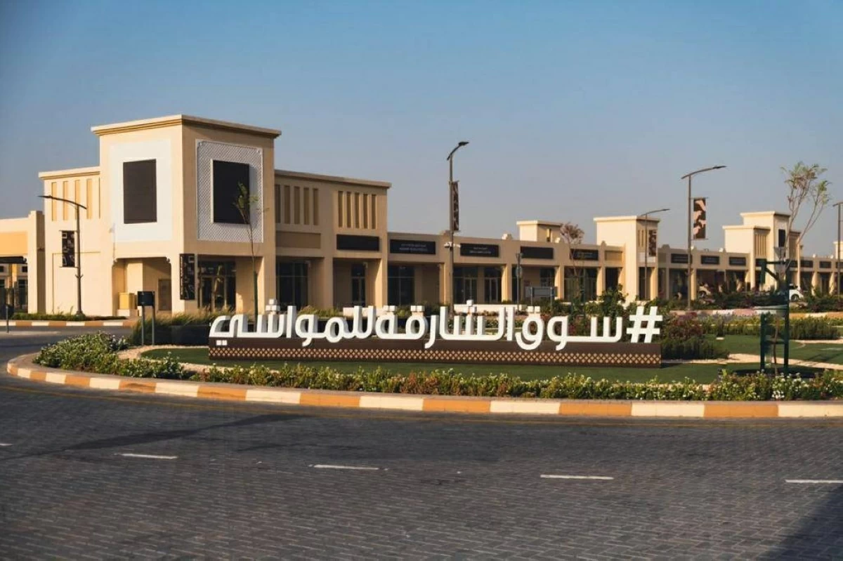 أسواق المواشي في الشارقة تستقبل 23 ألف زائر