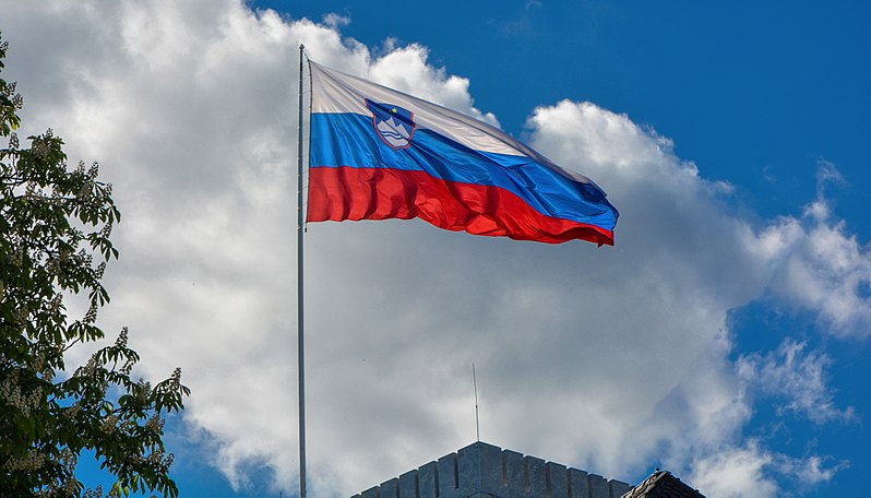 Egyptian, Slovenian FMs discuss regional developments
