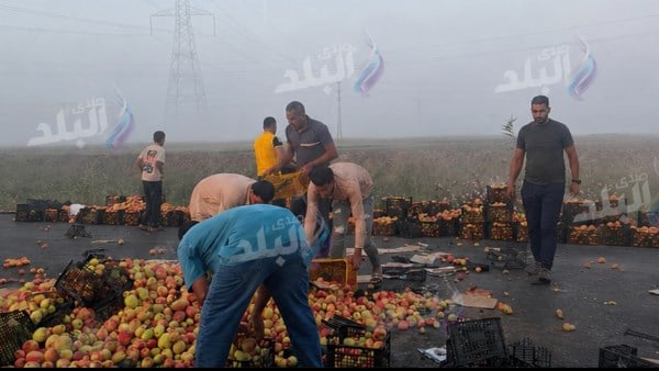 التفاح على الأسفلت.. انقلاب سيارة نقل بسبب الشبورة بالبحيرة