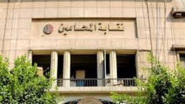 “المحامين” تحيل نسمة الخطيب للتحقيق بسبب مطالبتها بتقنين الدعارة في مصر