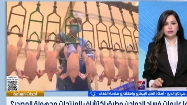 خبيرة سلامة غذاء: التتبيل لا يُخفي فساد الدواجن وإعادة التجميد أخطر مما يعتقد المستهلك