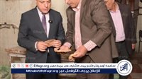 ضبط 58 مخالفة تموينية في حملات مكثفة على المخابز المدعمة بالغربية