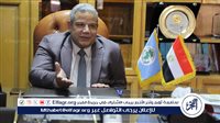 عميد الدراسات الأفريقية بجامعة القاهرة: انتظام امتحانات الدراسات العليا واهتمام خاص بذوي الهمم