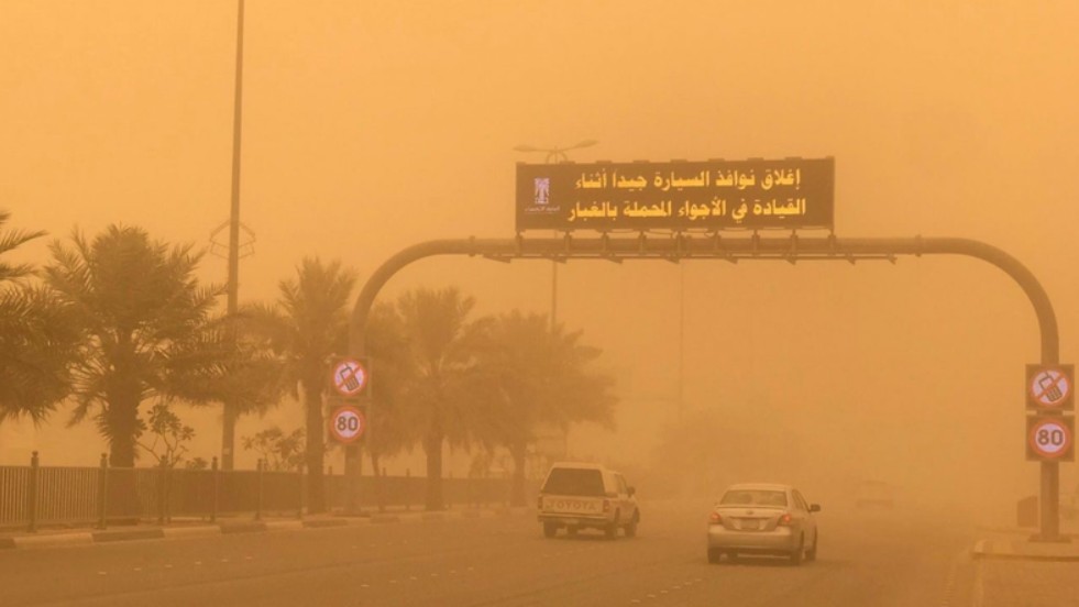 السعودية تنجح في خفض العواصف الغبارية.. تراجع بنسبة 62% يعكس ثمار التشجير