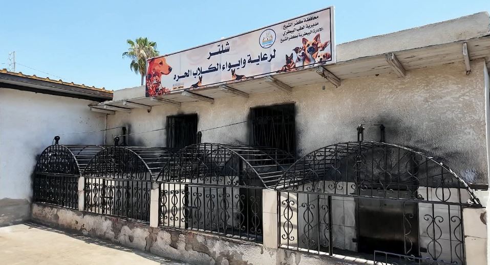 وكيل نقابة الأطباء البيطريين يحذر من إطعام الكلاب بمخلفات الطعام.. ويدعو لتفعيل مراكز الإيواء