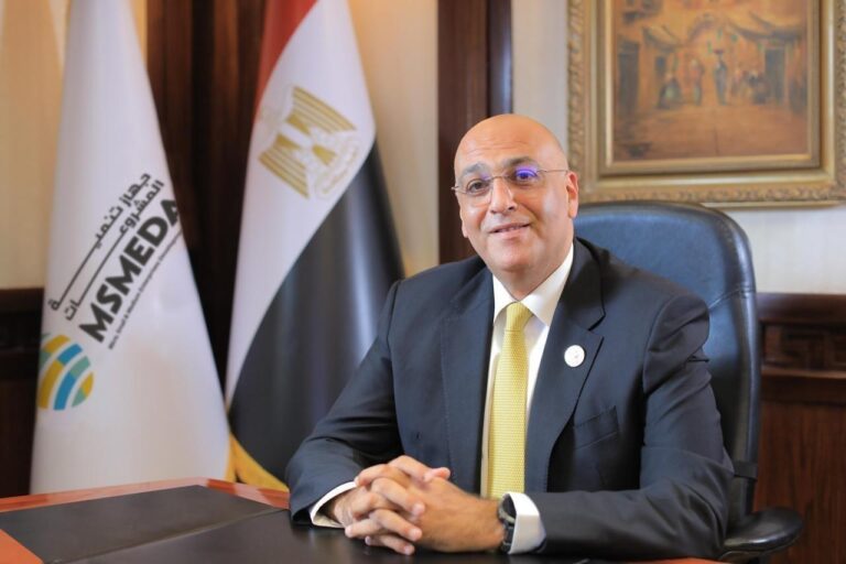 MSMEDA Injects EGP 1.5Bn Into Green Economy Projects Since 2014: CEO Rahmy
