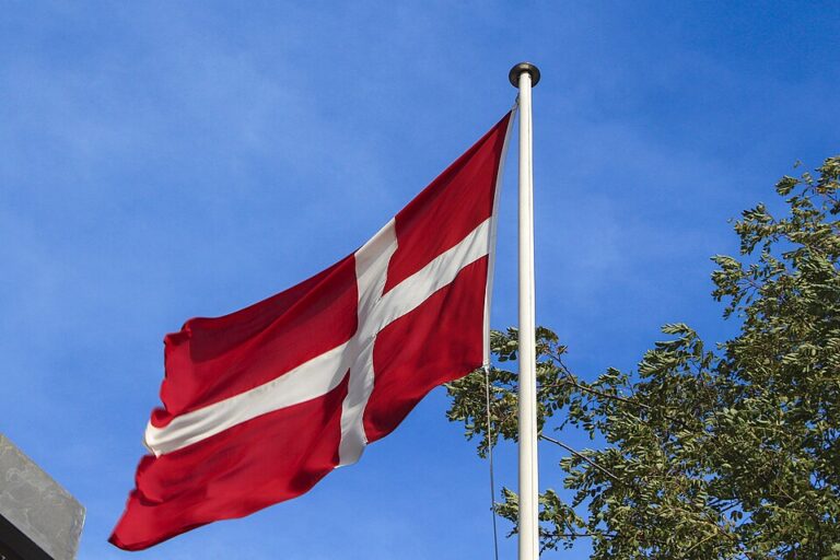 President Sisi congratulates Danish king, PM on Constitution Day