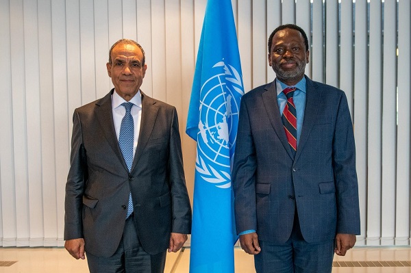 Egypt Seeks Expanded AI, Climate Cooperation with UN University During Tokyo Talks