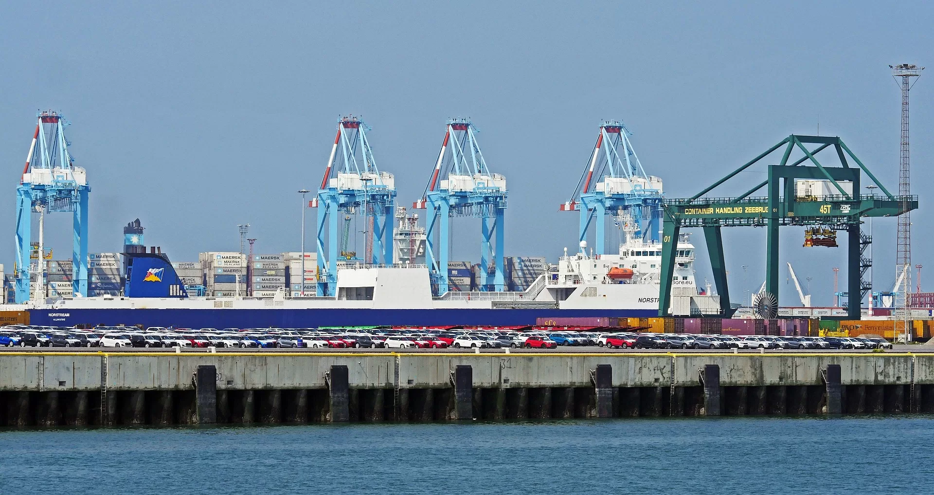 Egyptian port inspectors halt tampered VIN influx from Gulf free zones