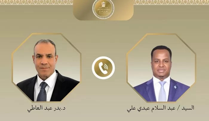 Egypt, Saudi, Qatar FMs co-ordinate response to regional instability