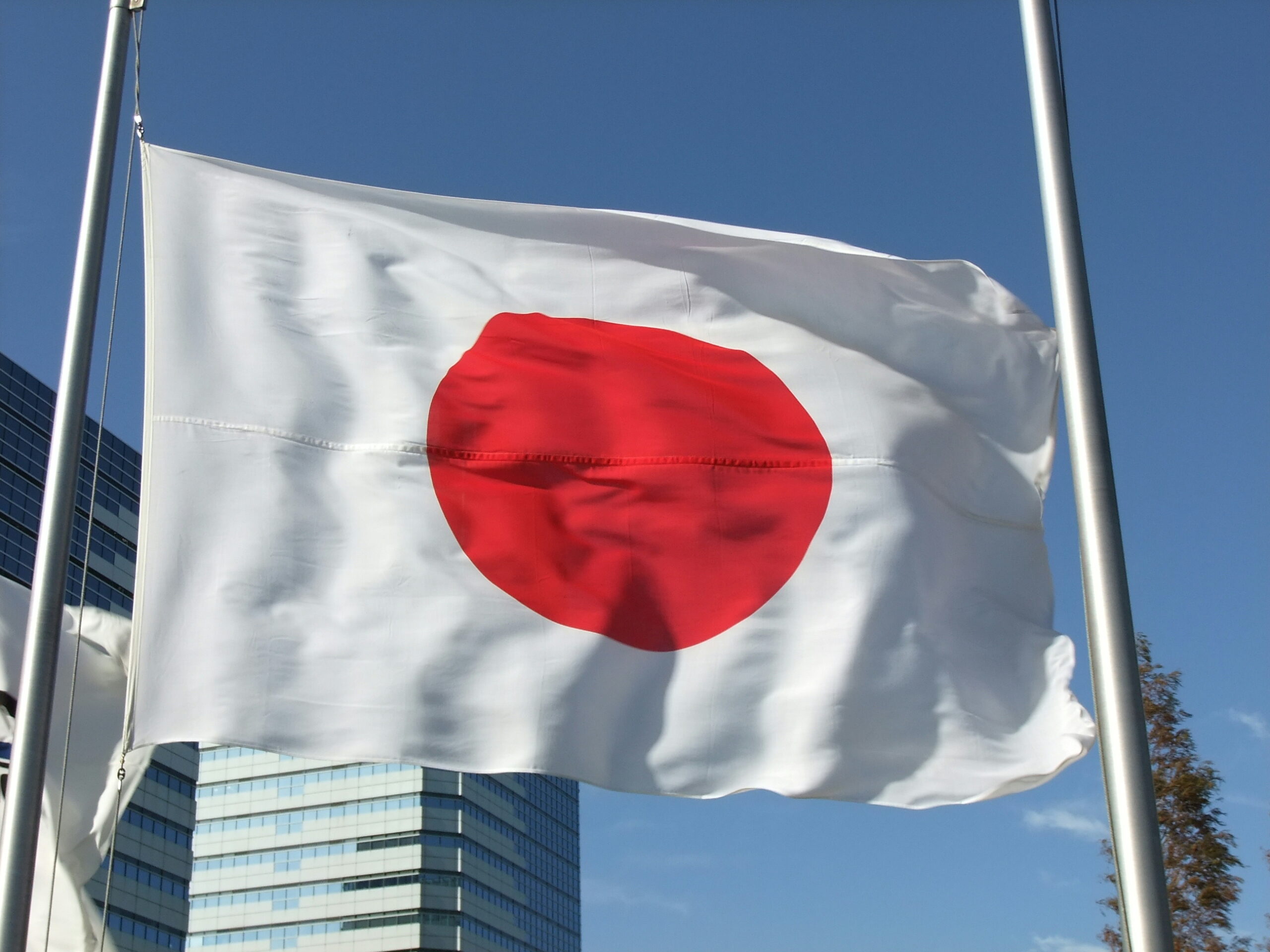 Foreign Minister: Educational cooperation key pillar of strategic partnership with Japan
