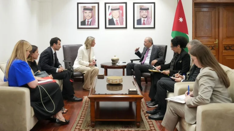 Safadi, EU Human Rights Envoy Discuss Cooperation