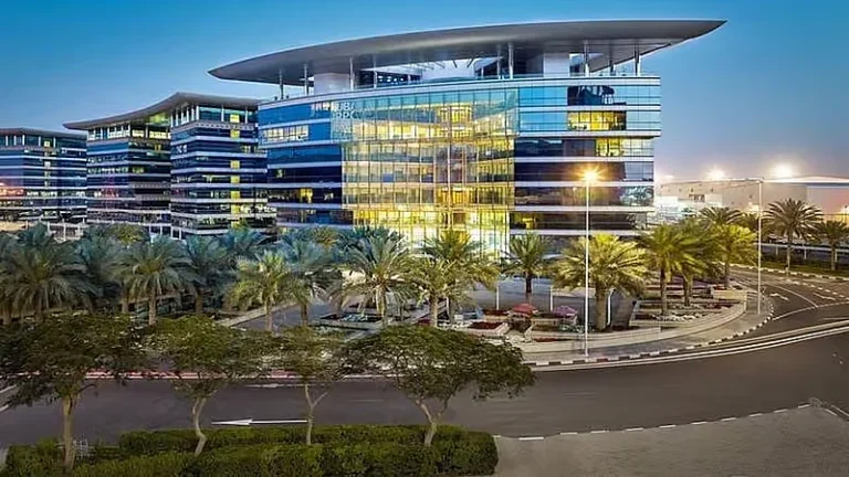 DIEZ’s Trade Nearly Doubles In Five Years, Hits Record Dh491 Billion In 2025