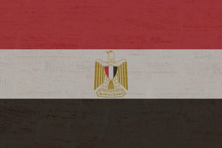 Egypt Calls on Nile Basin States to Expand Cooperation on Water Issues