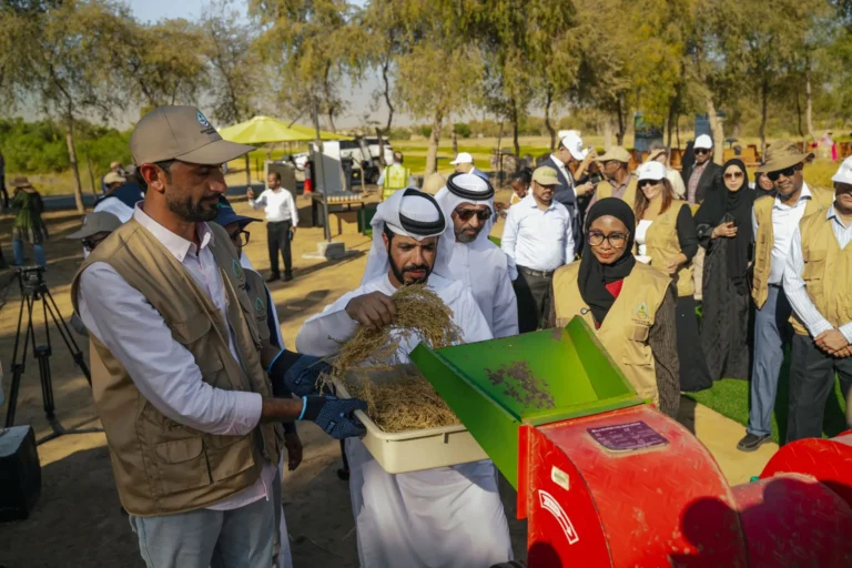 ICBA Organizes“Millets Harvest Day” To Support The Adoption Of Climate-Smart Crops In The UAE
