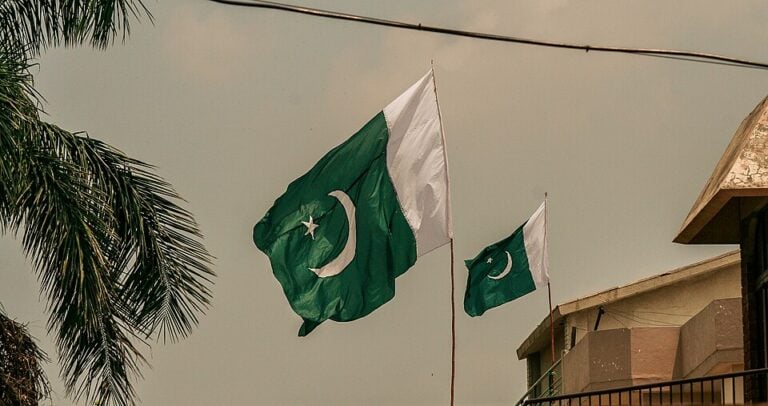 Egypt, Pakistan FMs stress importance of prioritizing diplomacy to prevent wider regional conflict