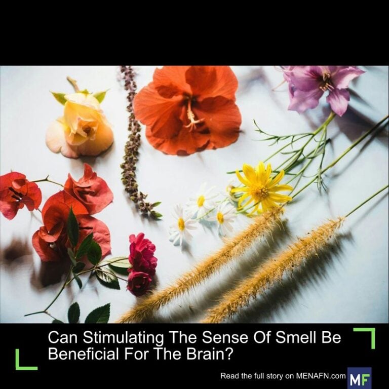 Can Stimulating The Sense Of Smell Be Beneficial For The Brain? #Stimulating #Sense #Smell #Beneficial #Brain? #Vaccines #Pills #Doctor #Hospital #Pandemic